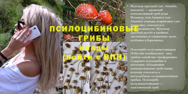 бошки Абаза