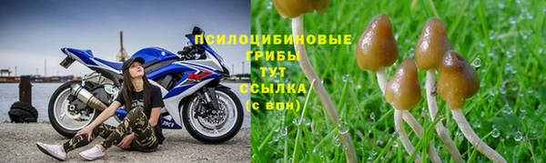 бошки Абаза