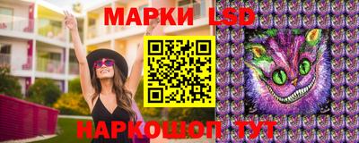 сатива Бийск