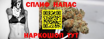 сатива Бийск