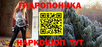 сатива Бийск