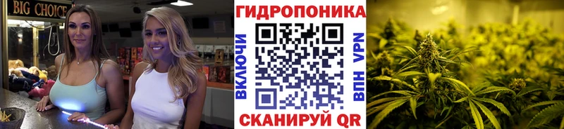 купить наркотик  Балахна  Бошки Шишки MAZAR 